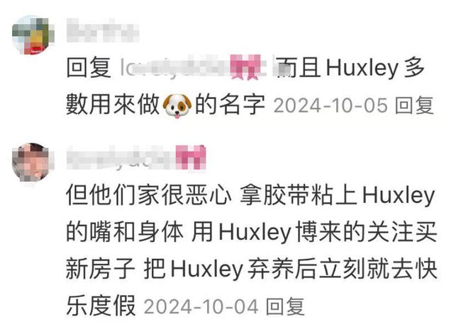 国男孩钱赚够后就“退货”背后细节让人无语PG麻将胡了免费试玩模拟器网红夫妇领养中(图9)