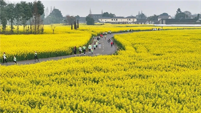 开启:穿越金色秘境解锁春日宝藏麻将胡了app崇州花海寻宝报名(图2) 开启:穿越金色秘境解锁春日宝藏麻将胡了app崇州花海寻宝报名(图2)