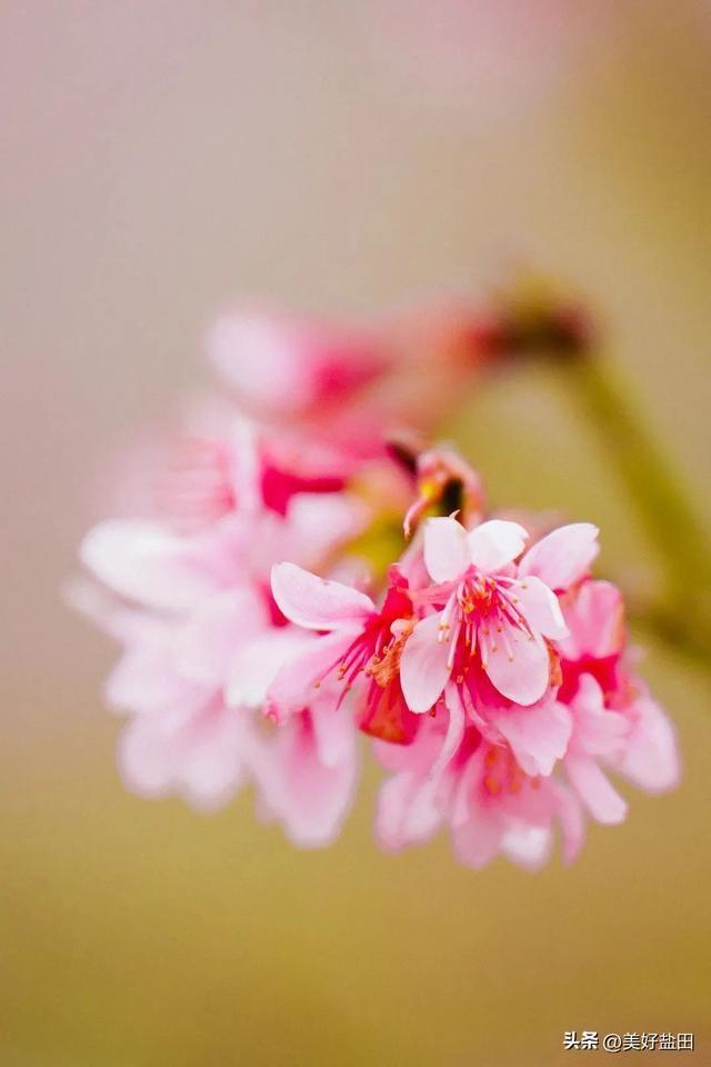 水节气盐田春色正当时PG电子麻将胡了2雨(图3) 水节气盐田春色正当时PG电子麻将胡了2雨(图3)