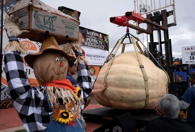 第52届世界南瓜大赛赢2万美元奖金麻将胡了1064公斤!美国男子夺冠(图12) 第52届世界南瓜大赛赢2万美元奖金麻将胡了1064公斤!美国男子夺冠(图12)